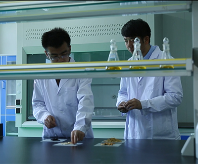 ���ι�˾�c��ͥ��ȫ�p����(xi��n)�������]���ְl(f��)�����ջ��(d��ng)Ҋ(ji��n)