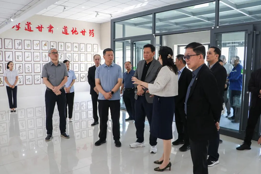 泰國(guó)衛(wèi)生部代表團(tuán)蒞臨隴神戎發(fā)參觀考察，深化中泰中醫(yī)藥合作交流