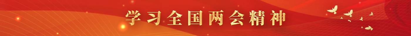 學(xué)習(xí)全國(guó)兩會(huì)精神